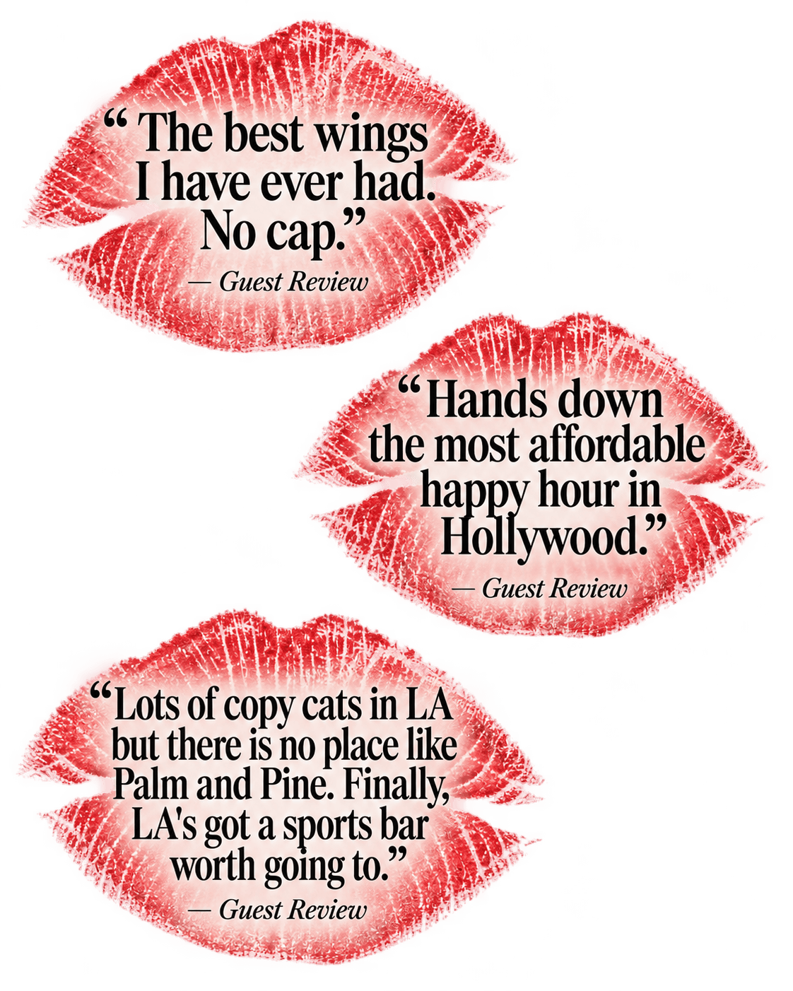 Guest reviews of The Palm & The Pine